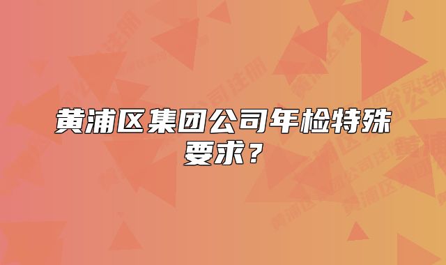 黃浦區(qū)集團公司年檢特殊要求？