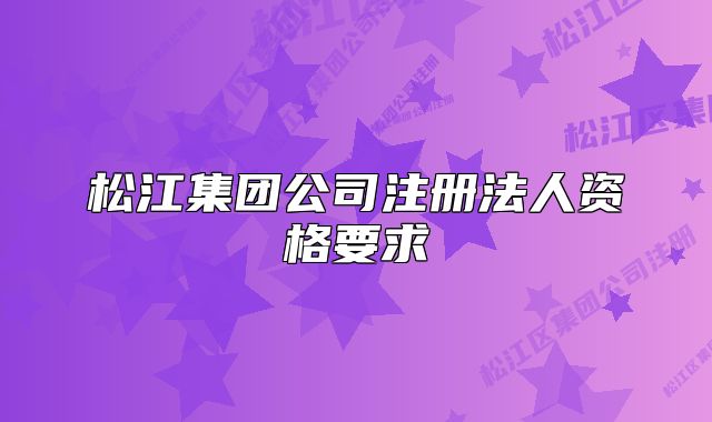 松江集團公司注冊法人資格要求