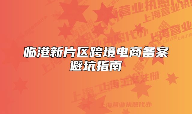臨港新片區(qū)跨境電商備案避坑指南