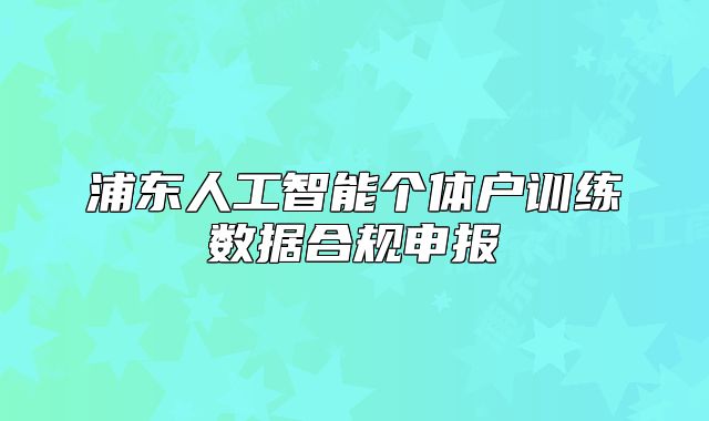 浦東人工智能個體戶訓(xùn)練數(shù)據(jù)合規(guī)申報