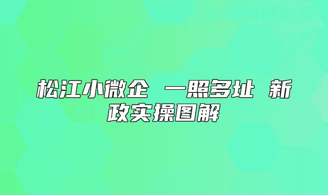 松江小微企 一照多址 新政實操圖解