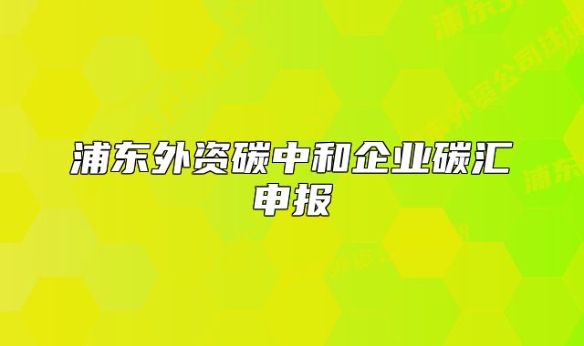 浦東外資碳中和企業(yè)碳匯申報