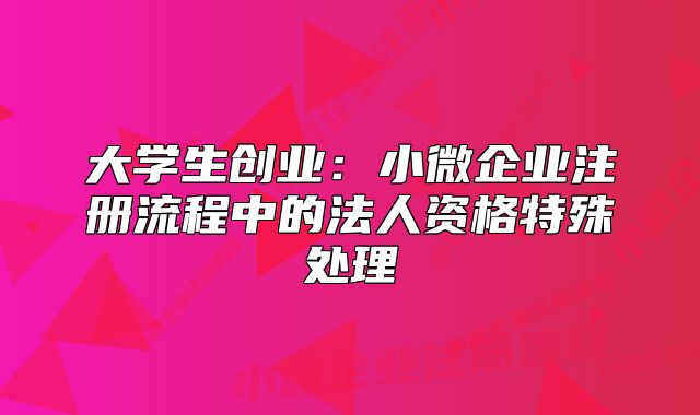 大學(xué)生創(chuàng)業(yè)：小微企業(yè)注冊(cè)流程中的法人資格特殊處理