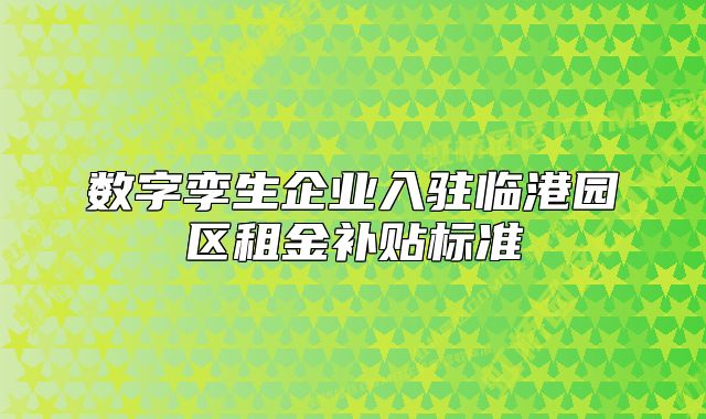 數(shù)字孿生企業(yè)入駐臨港園區(qū)租金補貼標(biāo)準(zhǔn)