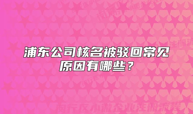浦東公司核名被駁回常見原因有哪些？