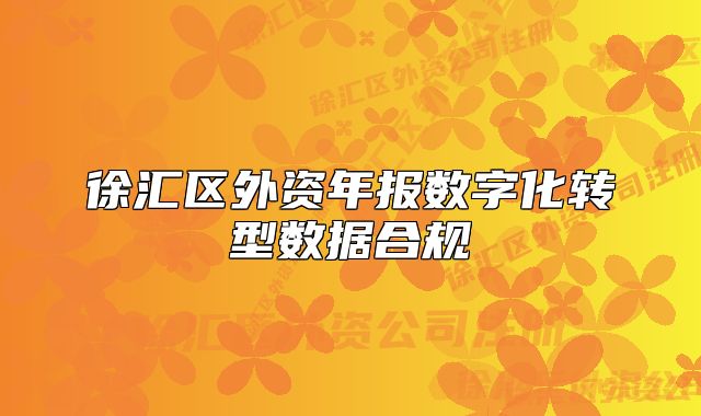 徐匯區(qū)外資年報(bào)數(shù)字化轉(zhuǎn)型數(shù)據(jù)合規(guī)