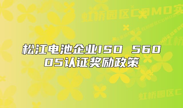 松江電池企業(yè)ISO 56005認(rèn)證獎(jiǎng)勵(lì)政策