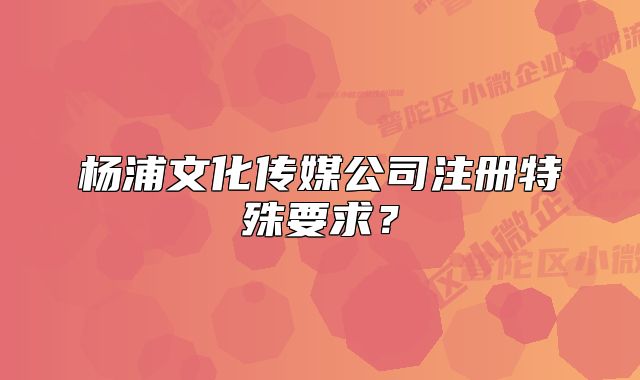 楊浦文化傳媒公司注冊(cè)特殊要求？