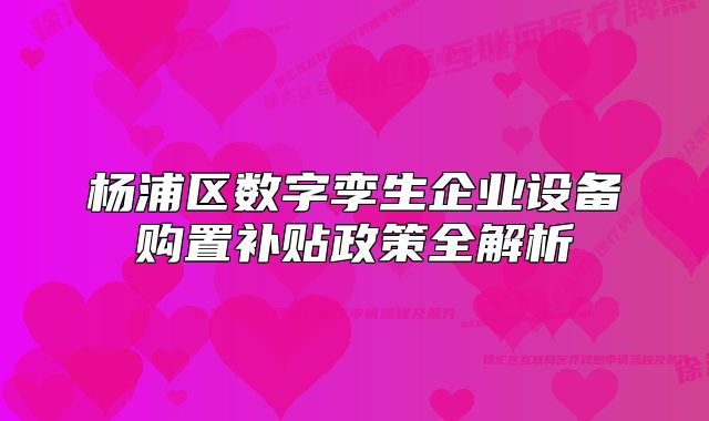 楊浦區(qū)數(shù)字孿生企業(yè)設(shè)備購置補(bǔ)貼政策全解析