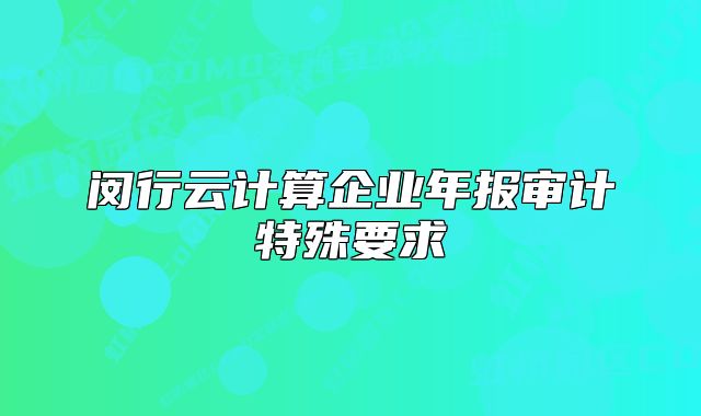 閔行云計算企業(yè)年報審計特殊要求