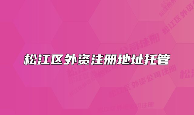 松江區(qū)外資注冊地址托管