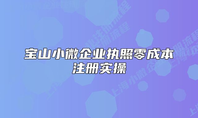 寶山小微企業(yè)執(zhí)照零成本注冊實操