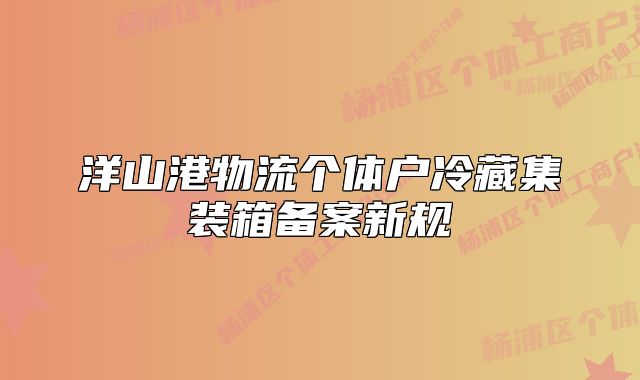洋山港物流個(gè)體戶冷藏集裝箱備案新規(guī)