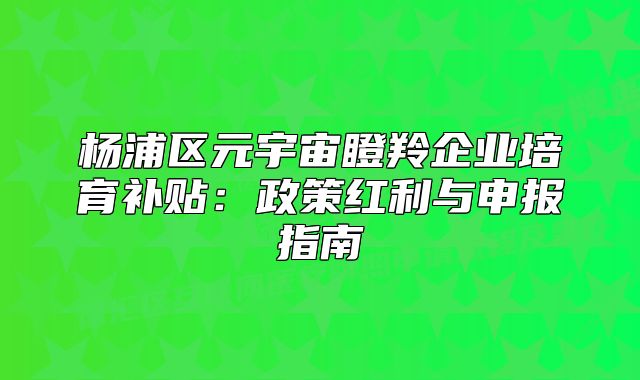 楊浦區(qū)元宇宙瞪羚企業(yè)培育補貼：政策紅利與申報指南