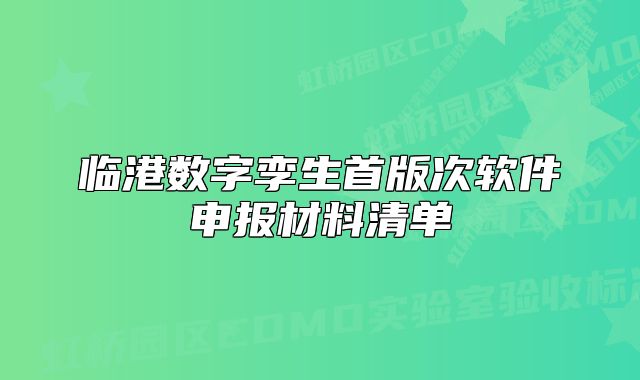 臨港數(shù)字孿生首版次軟件申報(bào)材料清單