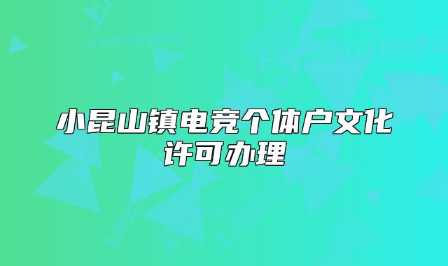 小昆山鎮(zhèn)電競(jìng)個(gè)體戶文化許可辦理