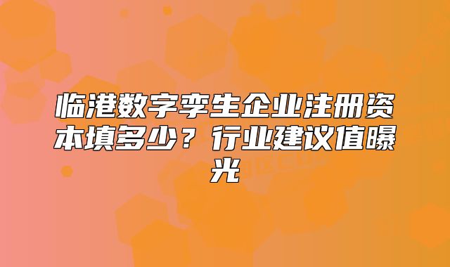 臨港數(shù)字孿生企業(yè)注冊資本填多少？行業(yè)建議值曝光
