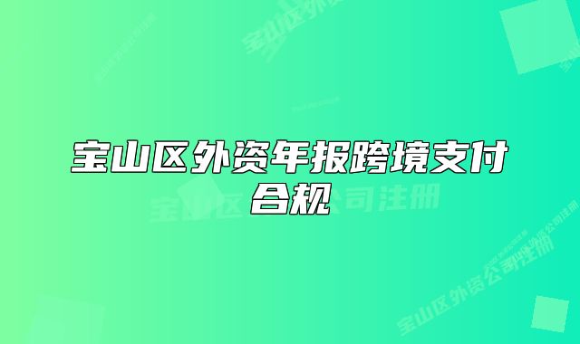 寶山區(qū)外資年報(bào)跨境支付合規(guī)