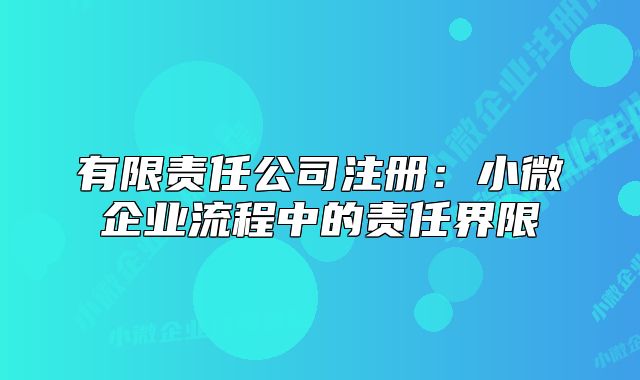 有限責任公司注冊：小微企業(yè)流程中的責任界限