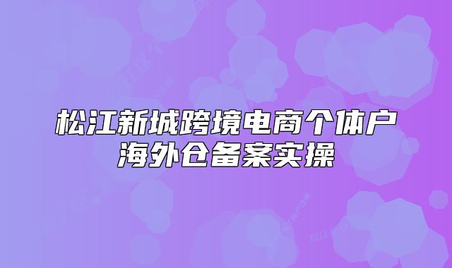 松江新城跨境電商個(gè)體戶海外倉(cāng)備案實(shí)操