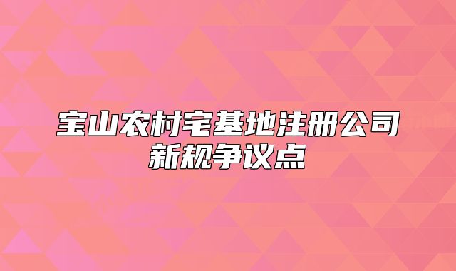 寶山農(nóng)村宅基地注冊公司新規(guī)爭議點(diǎn)