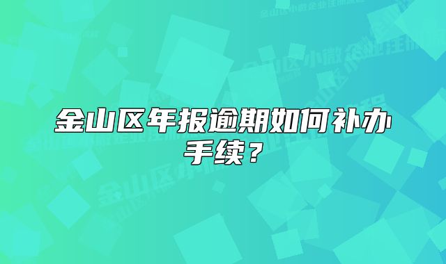 金山區(qū)年報(bào)逾期如何補(bǔ)辦手續(xù)？