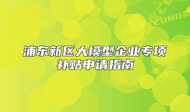 浦東新區(qū)大模型企業(yè)專項(xiàng)補(bǔ)貼申請(qǐng)指南