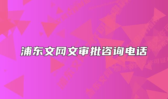浦東文網(wǎng)文審批咨詢電話
