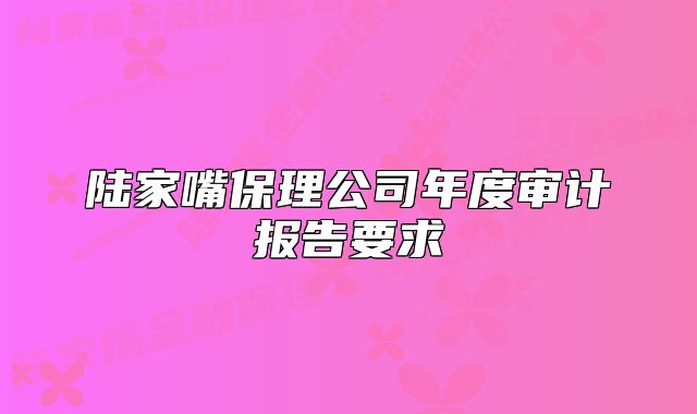 陸家嘴保理公司年度審計(jì)報(bào)告要求