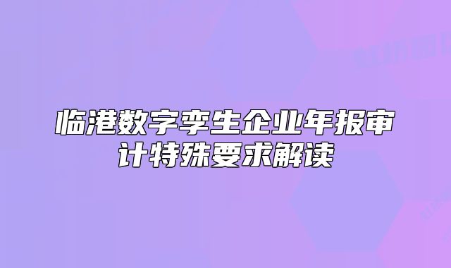臨港數(shù)字孿生企業(yè)年報(bào)審計(jì)特殊要求解讀
