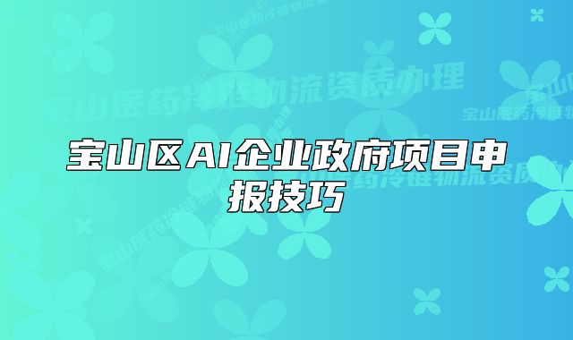 寶山區(qū)AI企業(yè)政府項(xiàng)目申報(bào)技巧