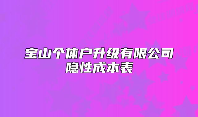 寶山個體戶升級有限公司隱性成本表