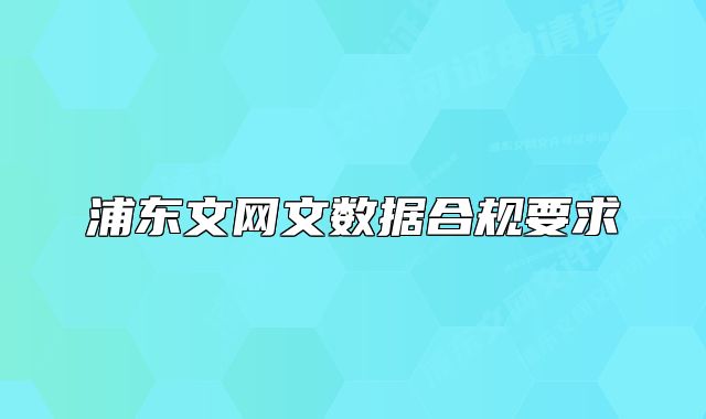 浦東文網(wǎng)文數(shù)據(jù)合規(guī)要求