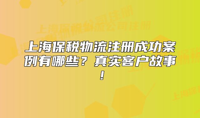 上海保稅物流注冊成功案例有哪些？真實(shí)客戶故事！