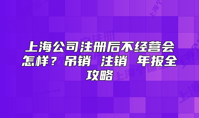 上海公司注冊后不經(jīng)營會怎樣？吊銷 注銷 年報全攻略