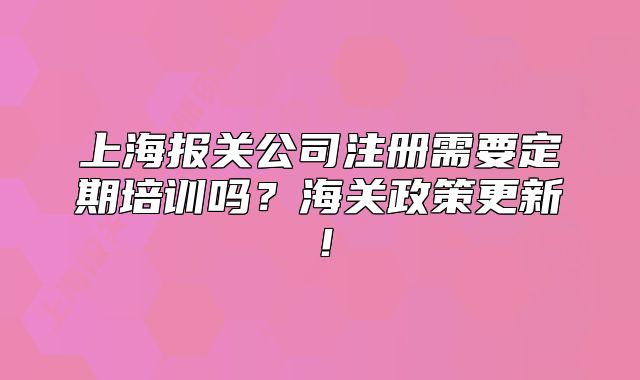 上海報關(guān)公司注冊需要定期培訓(xùn)嗎？海關(guān)政策更新！