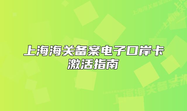 上海海關備案電子口岸卡激活指南