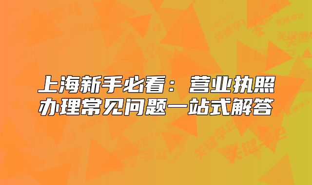 上海新手必看：營(yíng)業(yè)執(zhí)照辦理常見(jiàn)問(wèn)題一站式解答