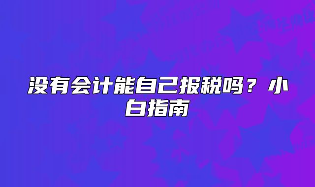 沒有會計能自己報稅嗎？小白指南