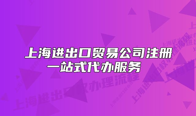 上海進(jìn)出口貿(mào)易公司注冊一站式代辦服務(wù) 