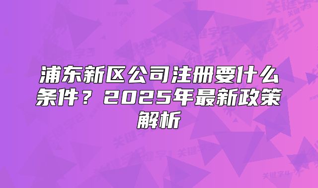 浦東新區(qū)公司注冊要什么條件？2025年最新政策解析