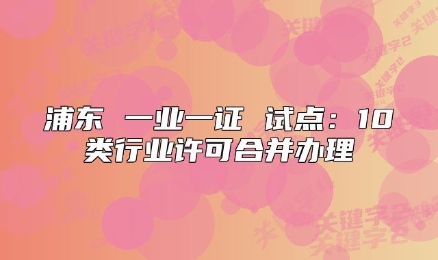 浦東 一業(yè)一證 試點(diǎn)：10類行業(yè)許可合并辦理