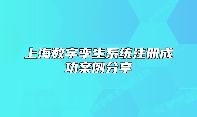 上海數(shù)字孿生系統(tǒng)注冊(cè)成功案例分享