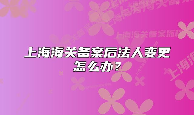 上海海關備案后法人變更怎么辦？