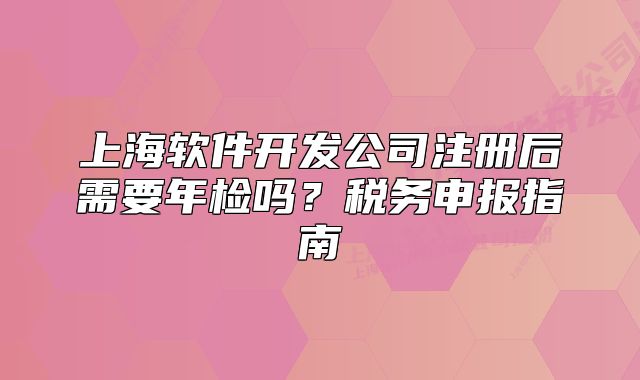 上海軟件開發(fā)公司注冊(cè)后需要年檢嗎？稅務(wù)申報(bào)指南