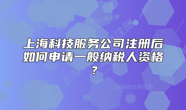上?？萍挤?wù)公司注冊后如何申請一般納稅人資格？