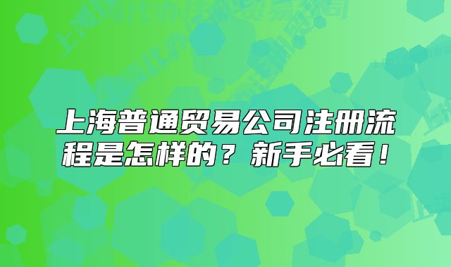 上海普通貿(mào)易公司注冊(cè)流程是怎樣的？新手必看！
