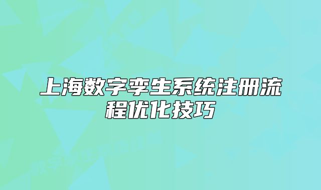 上海數(shù)字孿生系統(tǒng)注冊(cè)流程優(yōu)化技巧