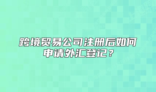 跨境貿(mào)易公司注冊(cè)后如何申請(qǐng)外匯登記？