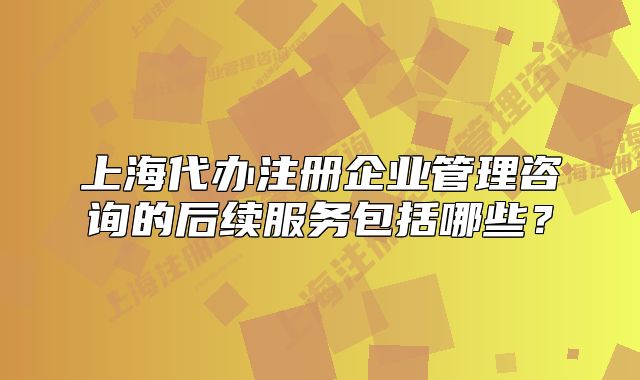 上海代辦注冊企業(yè)管理咨詢的后續(xù)服務包括哪些？